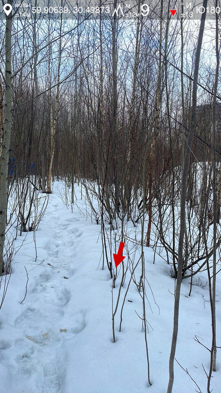 10марта26 09 19 s