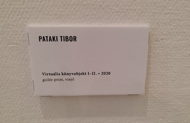 Kép