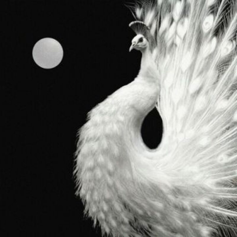 Yin and Yang - ZICO , Crush album cover