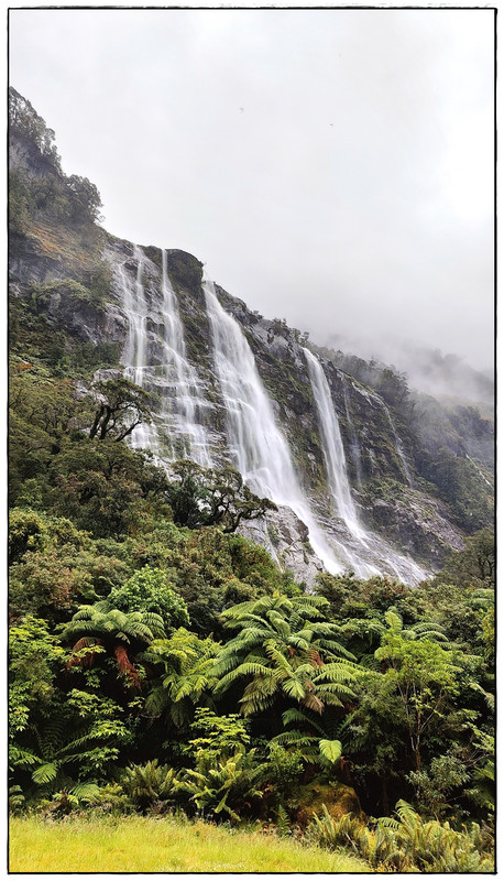 Fiordland NP: Milford Track (enero 2023) - Escapadas y rutas por la Nueva Zelanda menos conocida (57)