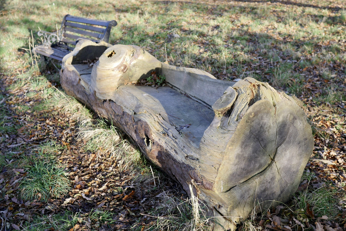 06D21F50-B280-47EA-B3D1-A35A586E7A64