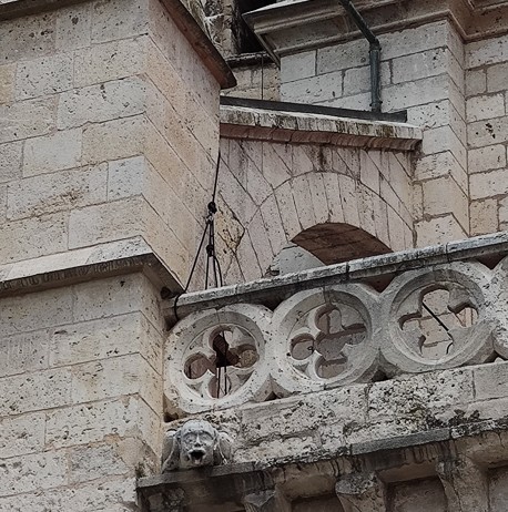 499603315 1189675123197586 3091064962775503584 n