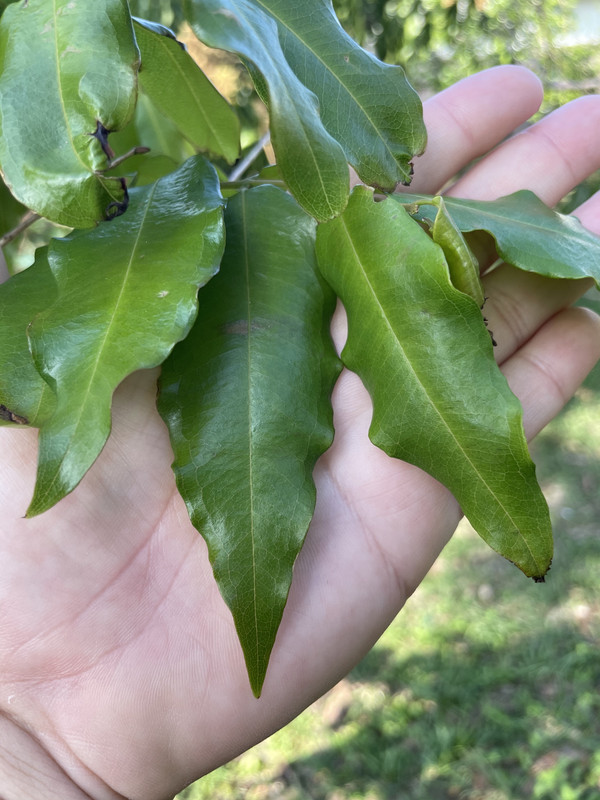 0132912A-37B2-4B97-8D15-F7F45FC9C816