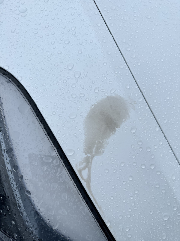 DA809466-7AFD-49B2-AF90-6A36FB06940A