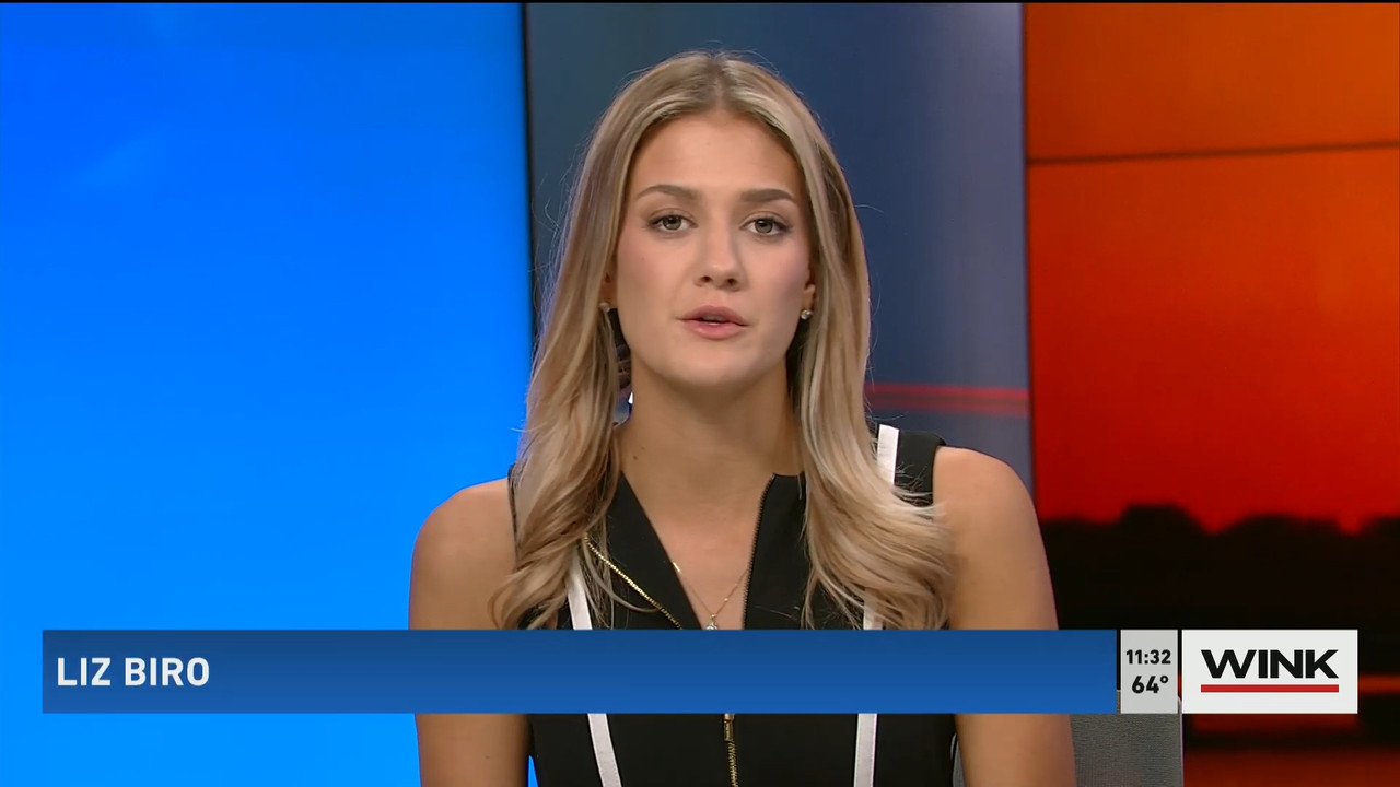 03.19 - 15.30.00 - WINK NEWS at 11 30am  ᴺᵉʷ. Midday news..ts_snapshot_08.51.408