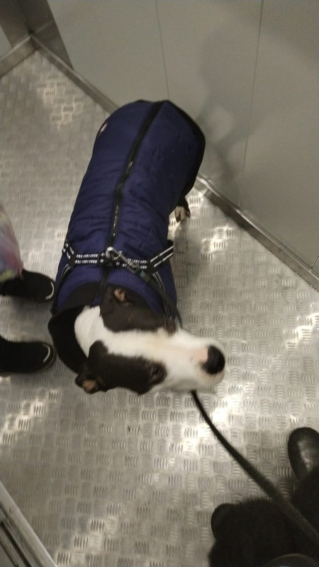 E6816C46-9E7C-4D78-A1C8-D950390F4ECF