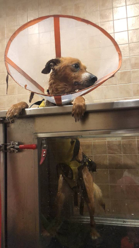 FCA639DF-115E-484E-A8EE-BD5274551689