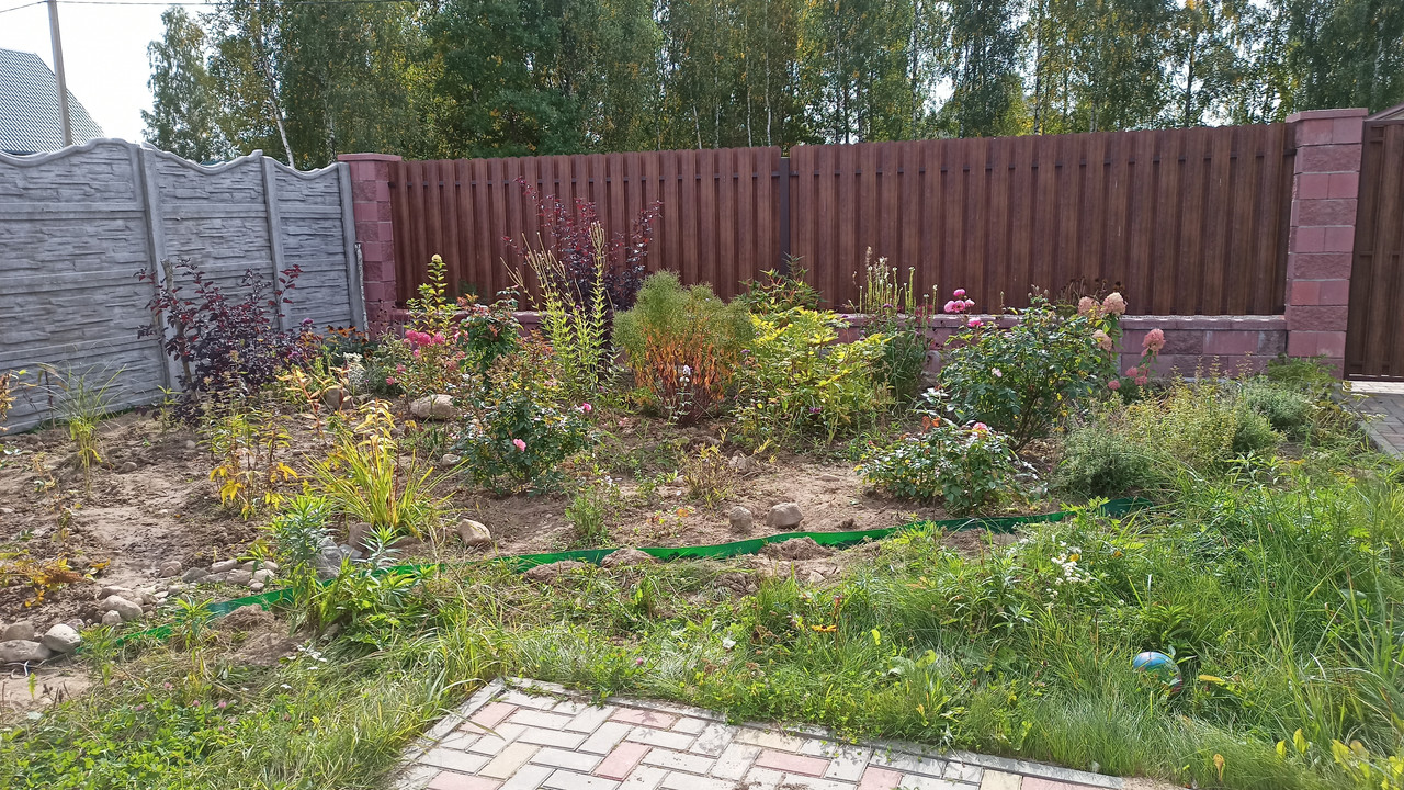 IMG20210914122152