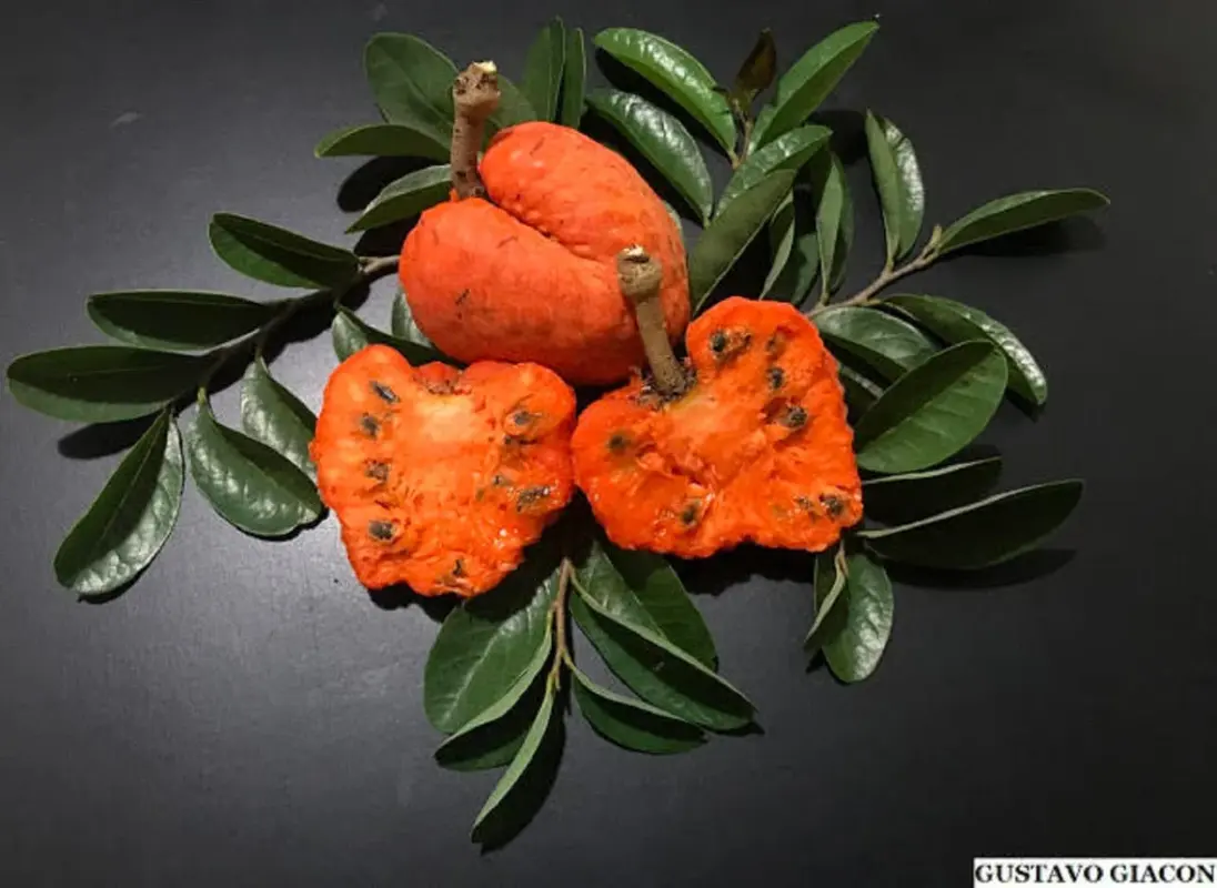 il_fullxfull.3238072306_fnaw