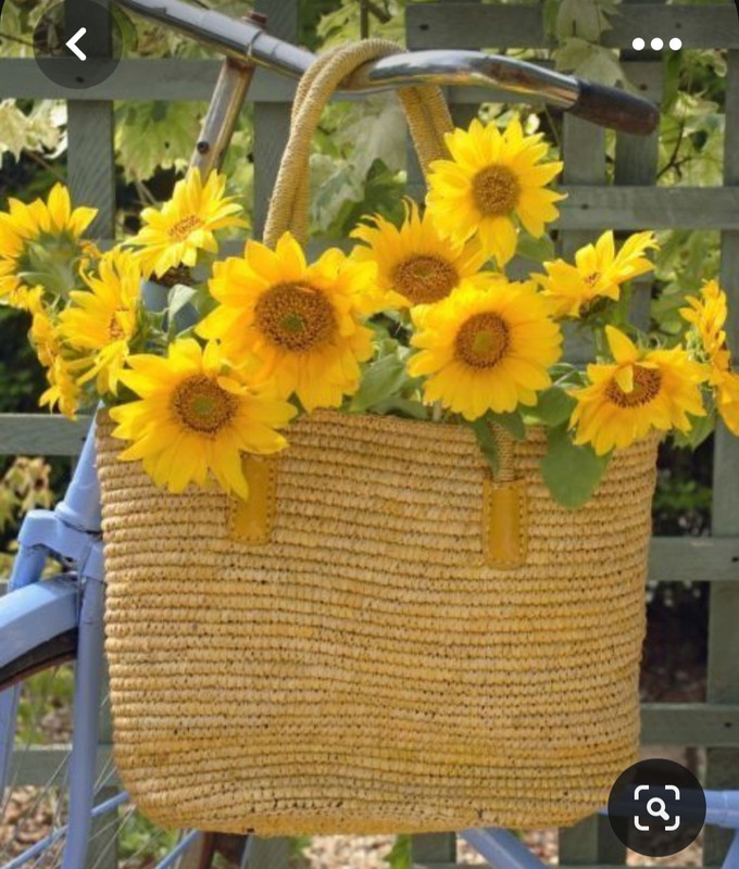 Screenshot_20230616_125236_Pinterest