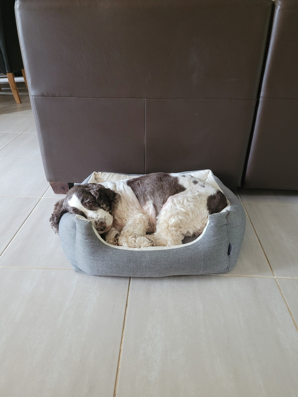 [Image: 17205264350461528036282712035274.jpg]