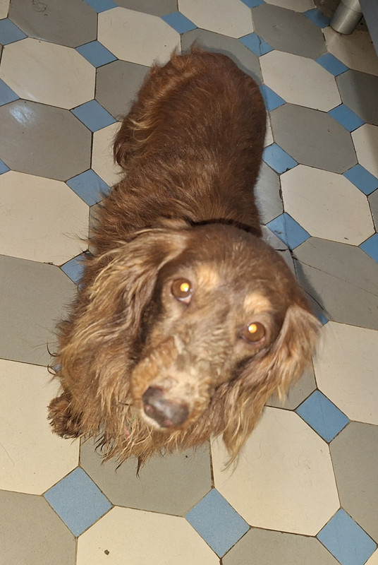 [Image: 20240403-121707.jpg]