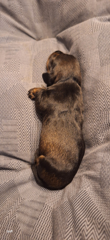 [Image: 20250423-195615.jpg]