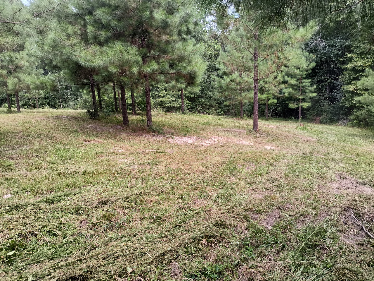 IMG 20260730 123038227 HDR