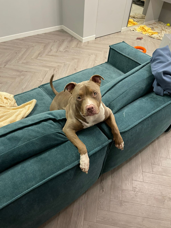 94CB2B51-08DC-4CED-A435-6B474484FF66