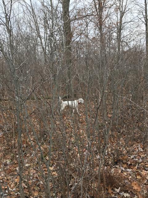 B2CDEFF3-C8A3-433D-9F12-B9ADCC1DE87F