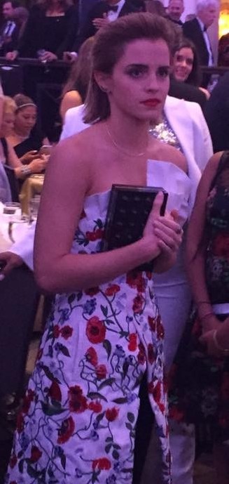 emmawatson-updates.com (1)