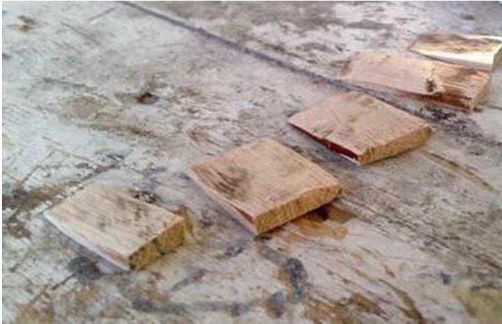 Заснемане.JPG1