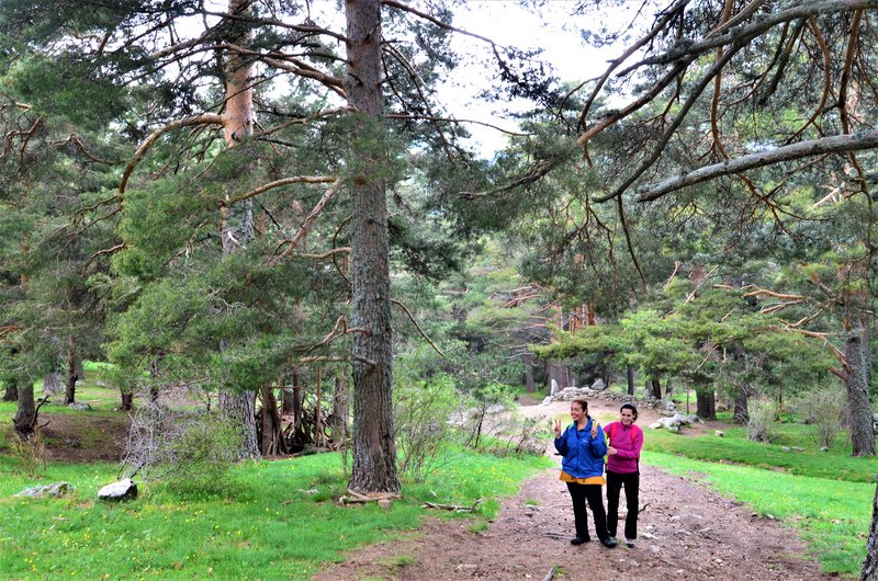 RUTA VALLE DE LA BARRANCA-6-6-2013-MADRID - Paseando por España-1991/2017 (20)