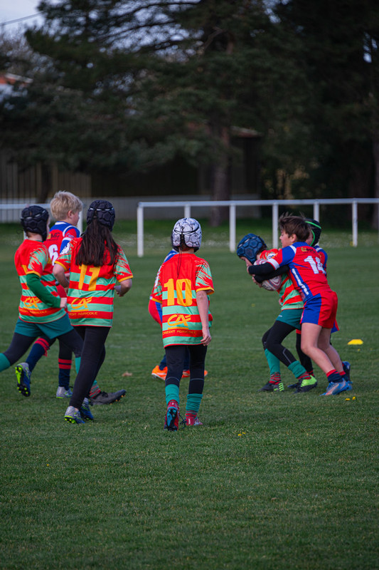 tournoi-de-latlantique-2026-adonis-griffon-160-55180399092-l