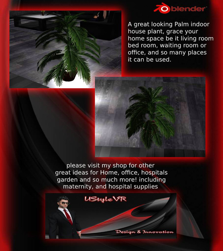 palm-house-plant