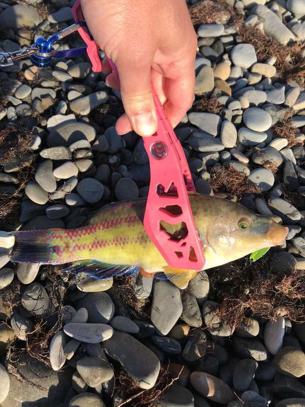 9EAAC5CC-B3F7-40FC-A822-AC62AB78B551