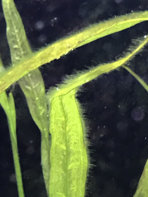 F93AA32B-F4B4-48AD-97D7-E37C72974F95