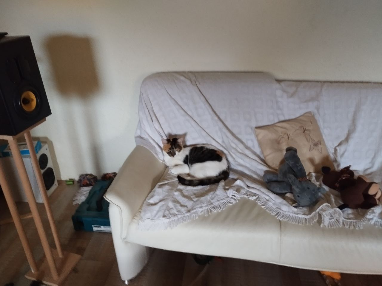 photo 2025 11 22 20 07 55