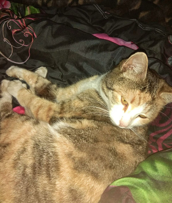 photo5307714013553078857