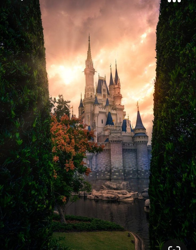 Screenshot_20231013_000019_Pinterest