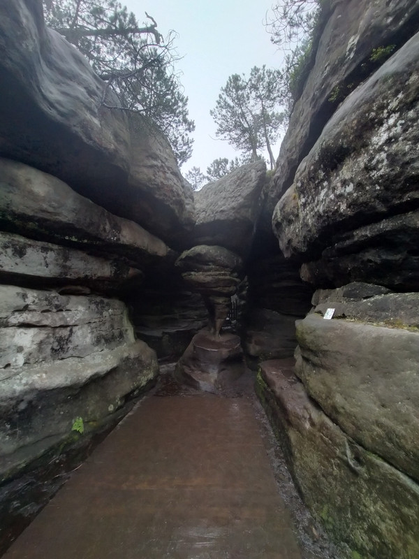 030 - IMG20210805143559