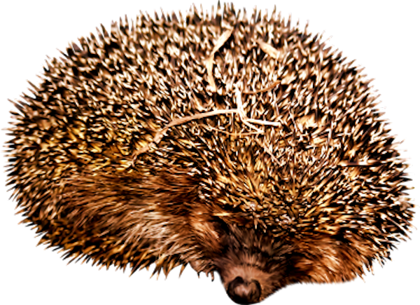 TADD_elements_ShimmerFall (69)