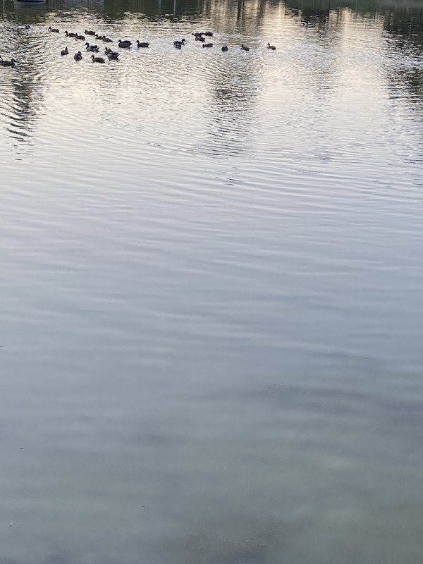 70E14622-DA24-4BBF-8A1F-F06A2321E562