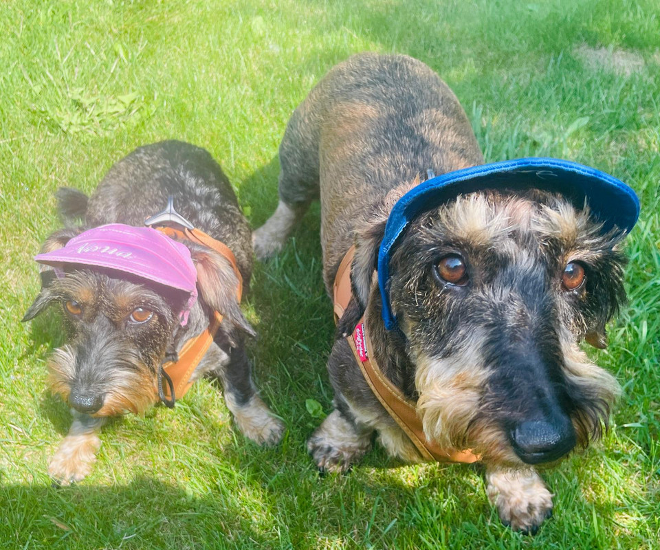 [Image: PHOTO-2024-08-30-12-45-35.jpg]