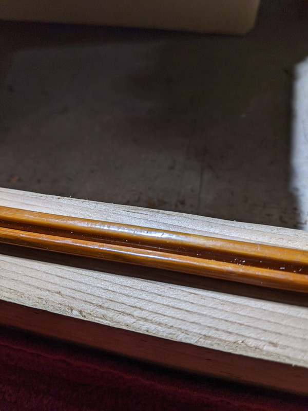 PXL_20211026_021355393.NIGHT