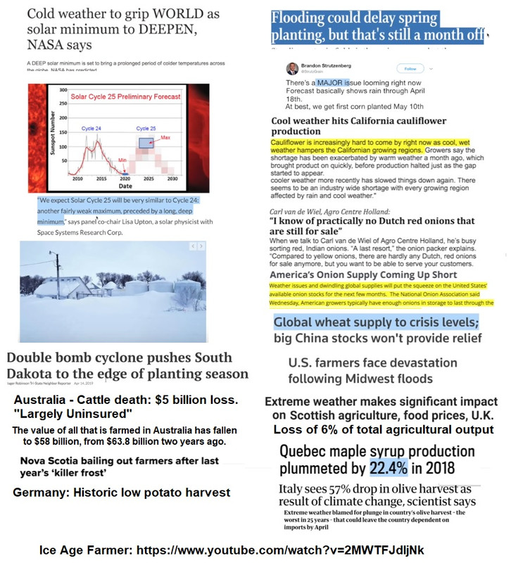 Grand-Solar-Minimum-destroys-crops.jpg