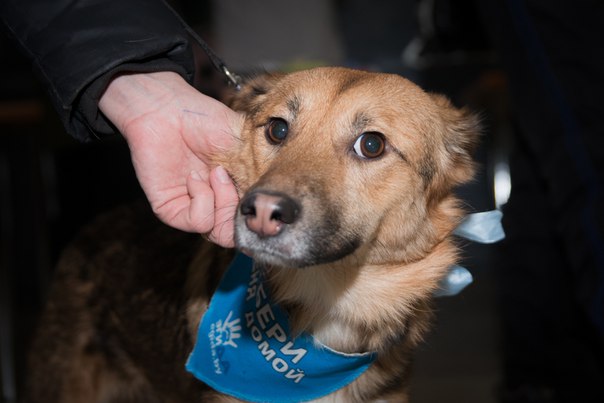 277C768B-8518-4230-8989-FFD1944D2491