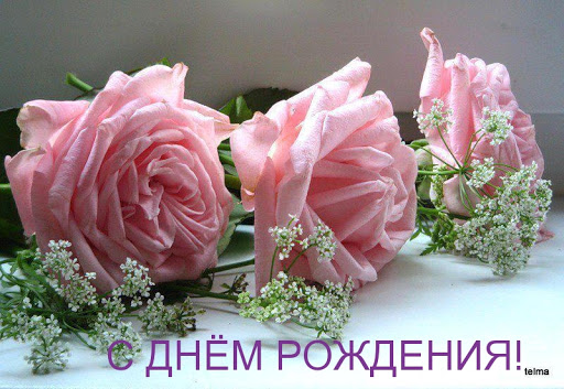 https://i.postimg.cc/pds1rsWN/image.jpg