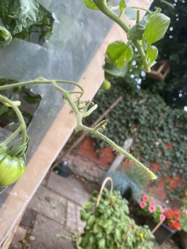 A6D2C659-521F-4F80-972F-932CDD2C8CD2