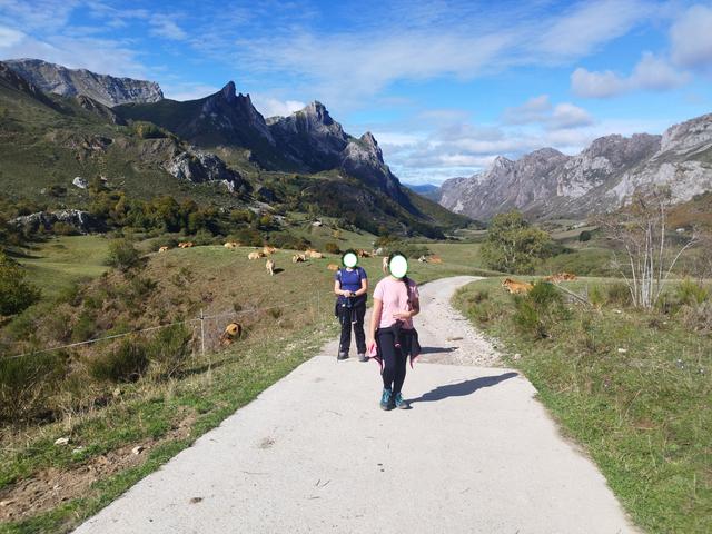 Otro puente en Asturias - Blogs de España - Domingo 11 Octubre. Ruta Valle del Lago (Somiedo) (9)