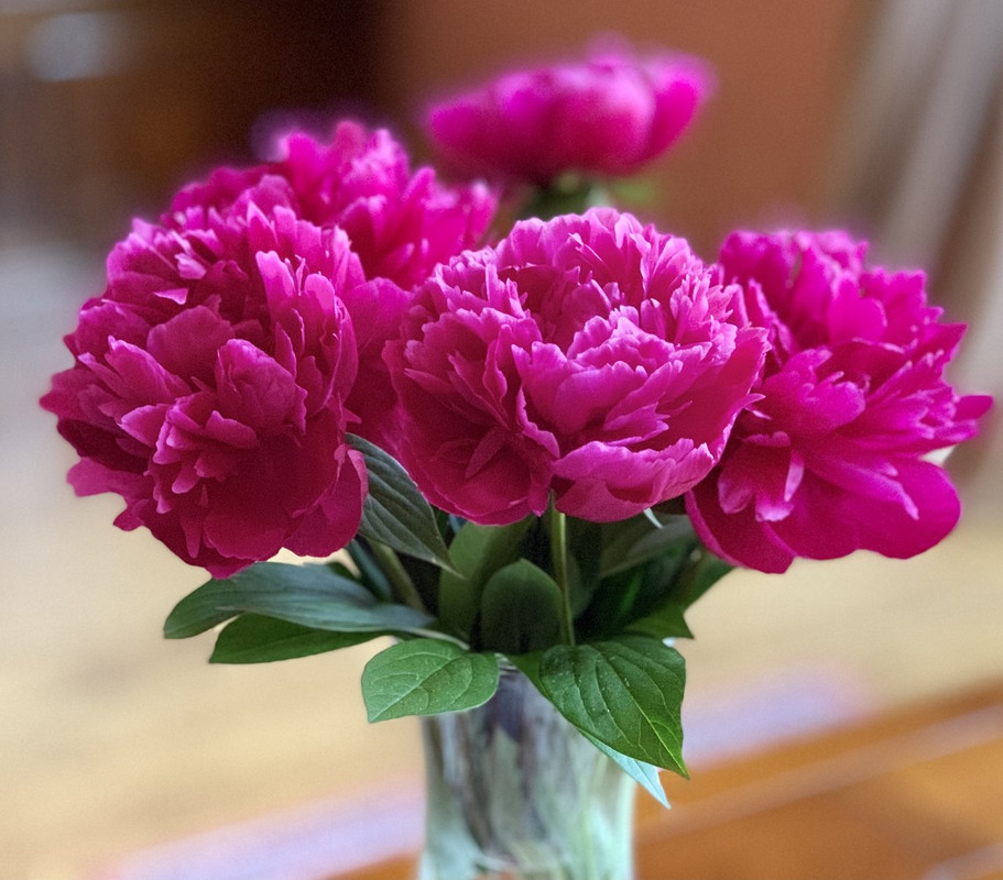 9256A992-CCB3-46AC-9716-0A81C2238F6D