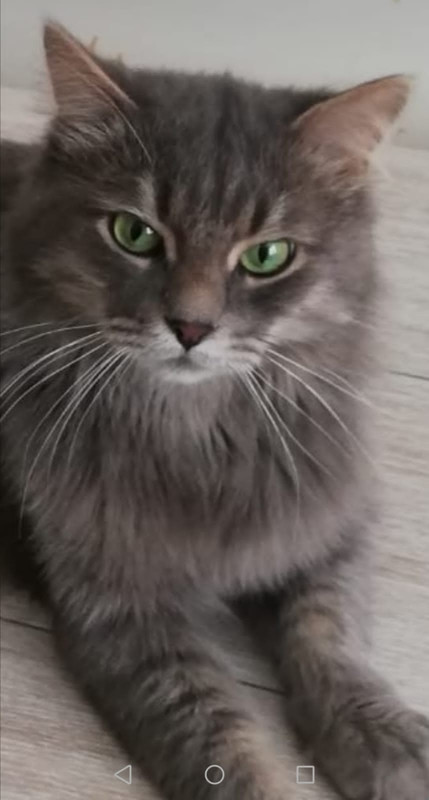 11510E2C-3247-4860-9A44-8C41C6E150BA