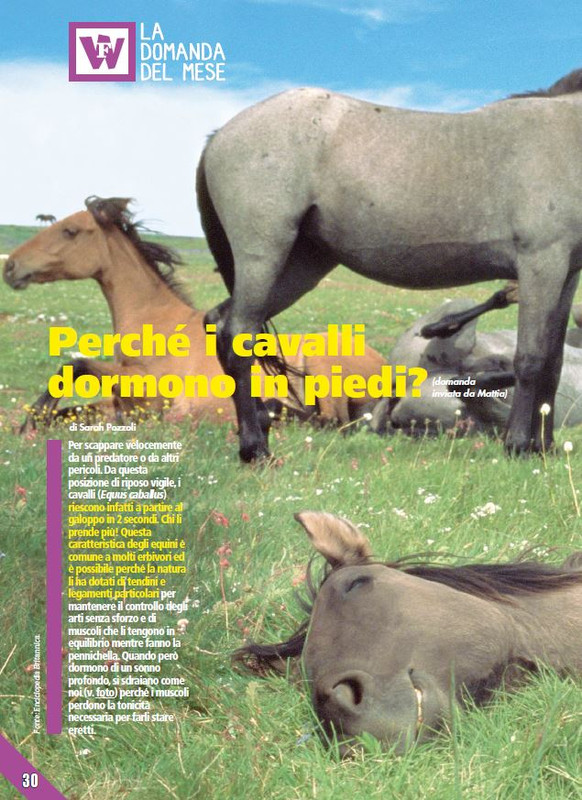 Foc Wil - Apr 2023 (5)