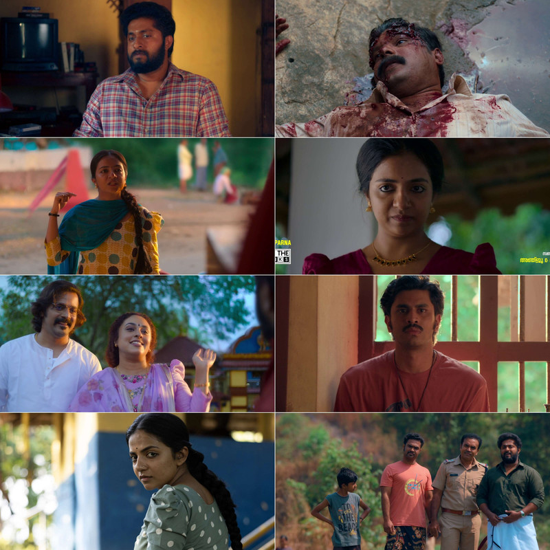 Detective Ujjwalan (2025) Dual Audio [Hindi & Malayalam] Full Movie HD ESub screenshot
