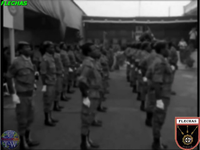 Tropa_Flechas 241