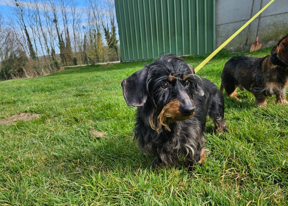 [Image: IMG-20250319-WA0002.jpg]