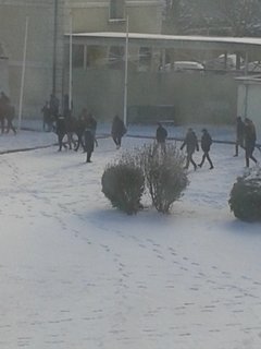 20210210-120154.jpg