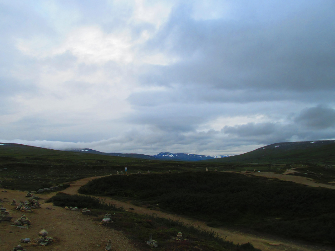Nord Norvegia (3)