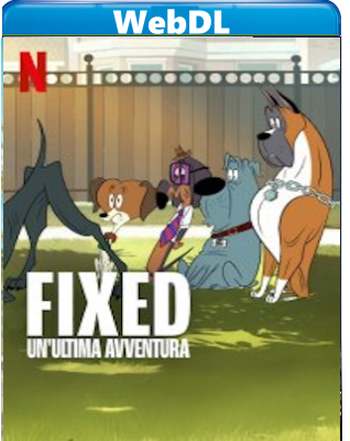 Fixed - Un'ultima avventura (2025) WEB-DL 1080p H264 E-AC3+AC ITA ENG