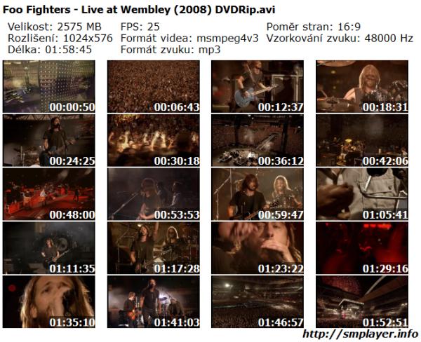 Foo Fighters - Live at Wembley (2008)